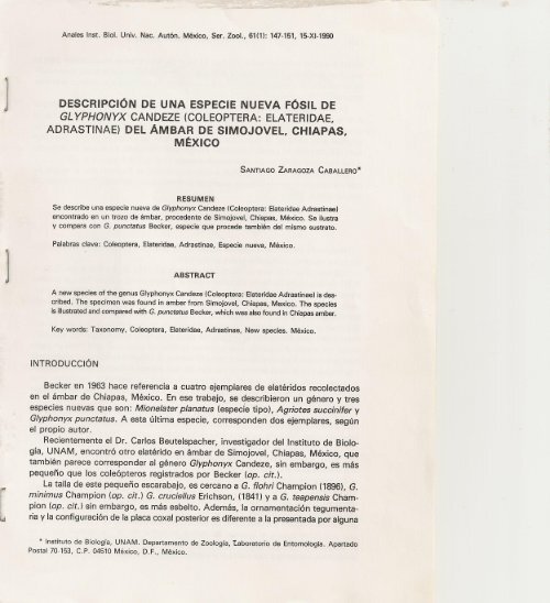 ZARAGOZA-CABALLERO, S. 1990. Descripción de una especie nueva fósil de Glyphonyx Candeze (Coleoptera, Elateridae, Adrastinae) del ámbar de Simojovel, Chiapas, México