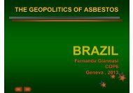 Presentation by Fernanda Giannasi - International Ban Asbestos ...