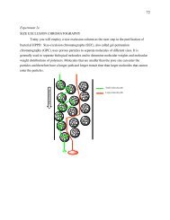 Experiment 2e SIZE EXCLUSION CHROMATOGRAPHY Today you ...