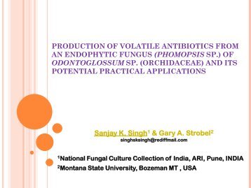 phomopsis sp. - 12th International Conference on Culture ...
