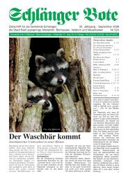 und Luftheizungsbau-Fachbetrieb Specksteinöfen ... - Schlänger Bote