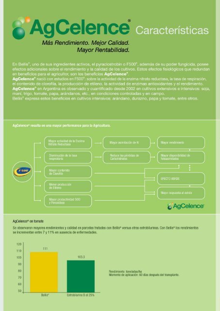 Folleto Bellis - Basf