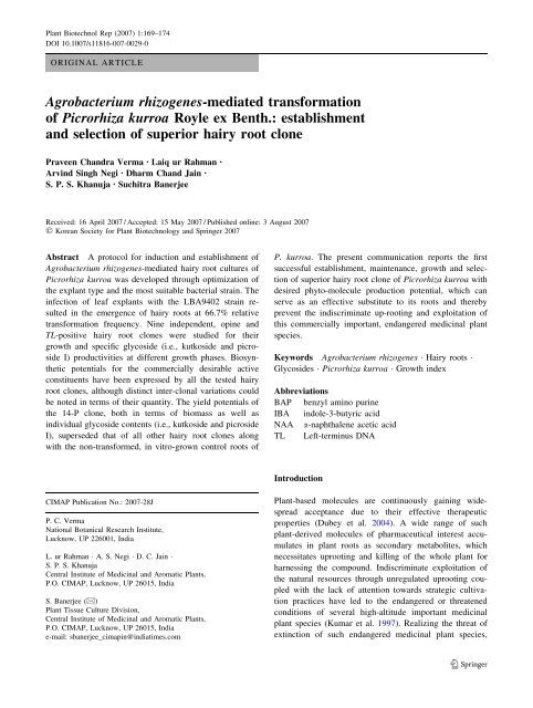 Agrobacterium rhizogenes-mediated transformation of ... - CIMAP Staff