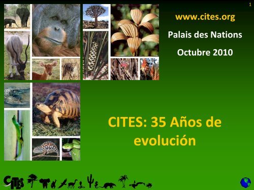 CITES: 35 AÃ±os de evoluciÃ³n