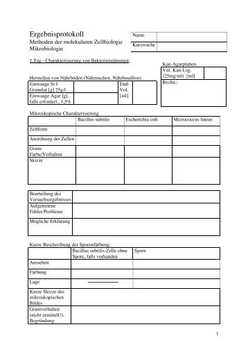 Ergebnisprotokoll Methoden der molekularen Zellbiologie - ZMBH