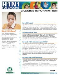 H1N1 Influenza Vaccine Information Fact Sheet - PDF version