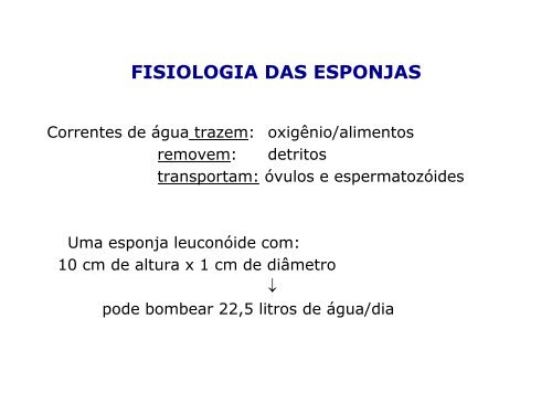 ClassificaÃ§Ã£o dos seres vivos, PorÃ­feros e CnidÃ¡rios - LaboratÃ³rio de ...