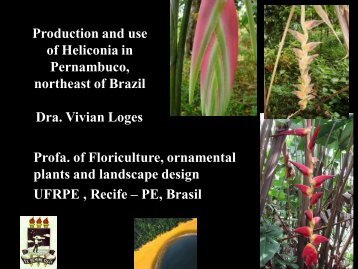 Dra. Vivian Loges - Heliconia Society International