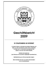 Geschäftsbericht - SV 1899 Staufenberg