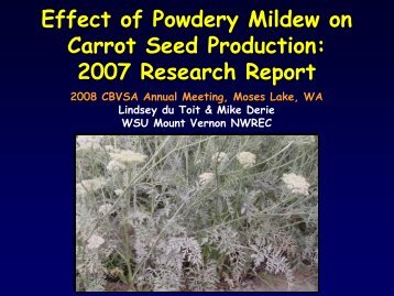 Presentation on Powdery Mildew in carrot seed