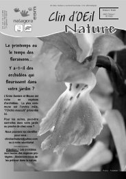 Le printemps ou le temps des floraisons... Y a t il des ... - natagora.org