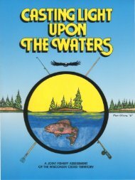 Casting Light Upon the Waters - Great Lakes Indian Fish and ...