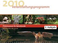 2. Halbjahr Veranstaltungsprogramm - Pfalzmuseum für Naturkunde