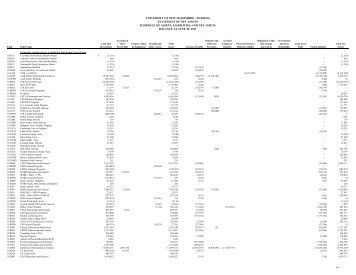 Statement of Net Assets Detail - USNH Financial Services