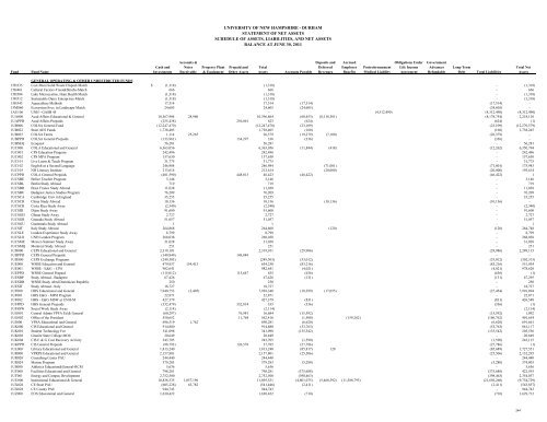 Statement of Net Assets Detail - USNH Financial Services