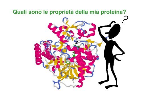 Proteomica - CusMiBio - UniversitÃ  degli Studi di Milano