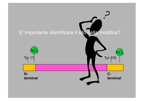 Proteomica - CusMiBio - UniversitÃ  degli Studi di Milano