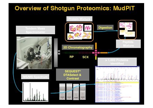 Proteomica - CusMiBio - UniversitÃ  degli Studi di Milano