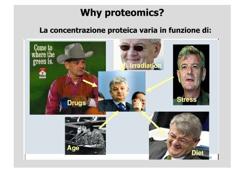 Proteomica - CusMiBio - UniversitÃ  degli Studi di Milano