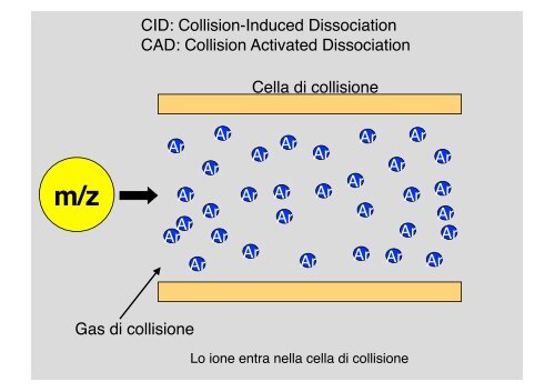 Proteomica - CusMiBio - UniversitÃ  degli Studi di Milano