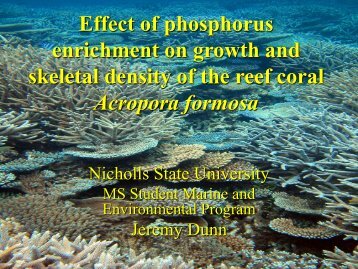 Effect of phosphorus enrichment on growth and density of the ... - crest