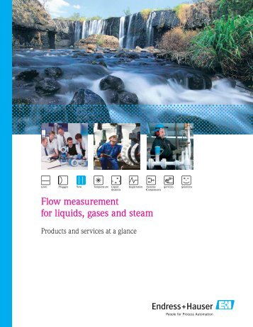 Flow measurement for liquids, gases & steam - Endress + Hauser