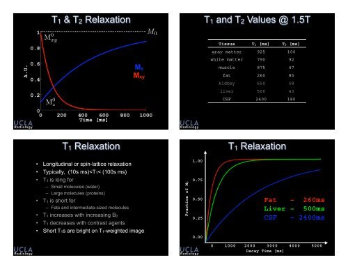 slides - Brainmapping.ORG