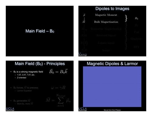 slides - Brainmapping.ORG