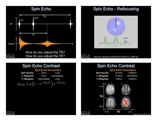 slides - Brainmapping.ORG