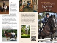 Equestrian Camps - Alfred University