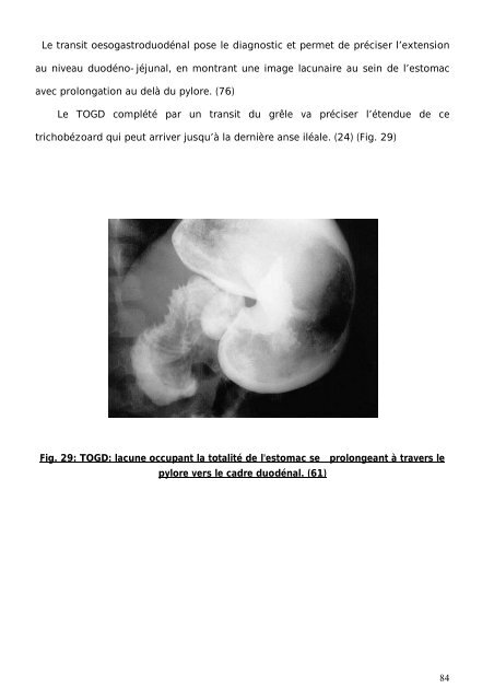 THESE_EL MACHICHI ALAMI.pdf - Toubkal