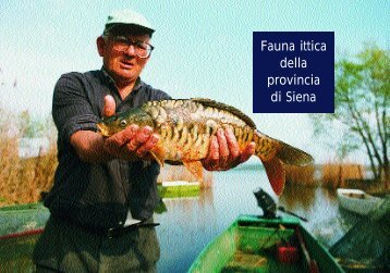 Fauna ittica della provincia di Siena - Risorse Faunistiche ...