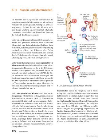 6.13 Klonen und Stammzellen