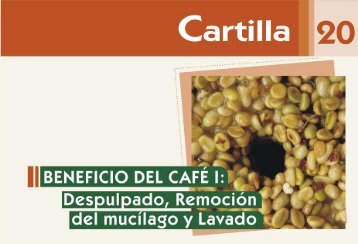 despulpado - CenicafÃ©