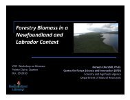 Forestry Biomass in a Newfoundland and Labrador Context ... - VCO