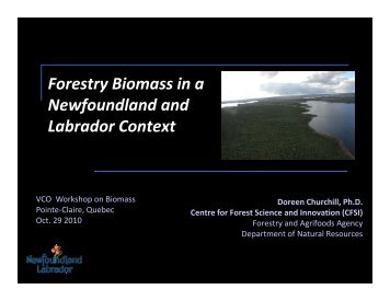 Forestry Biomass in a Newfoundland and Labrador Context ... - VCO