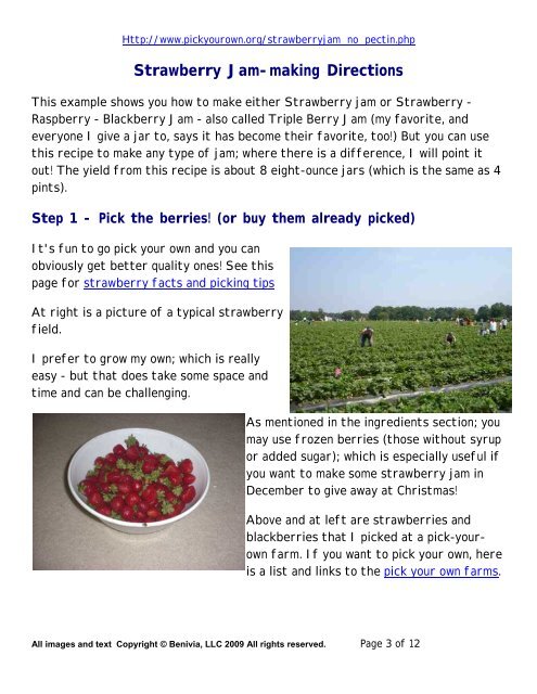 Strawberry Jam no Pectin PDF