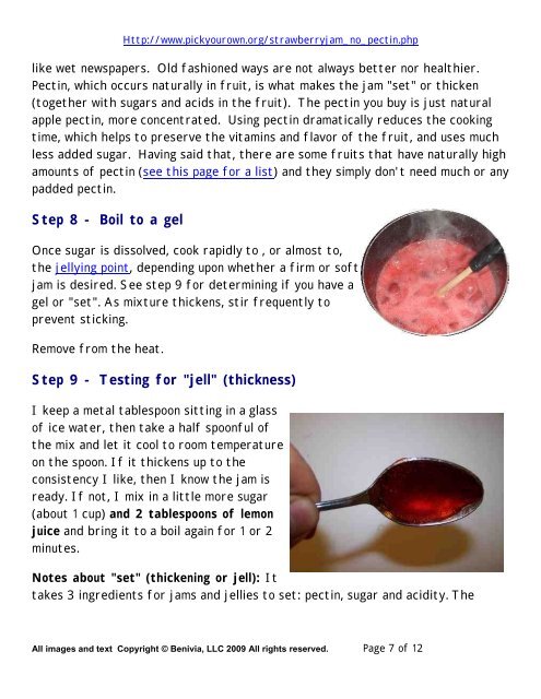 Strawberry Jam no Pectin PDF