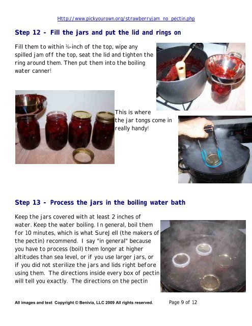 Strawberry Jam no Pectin PDF