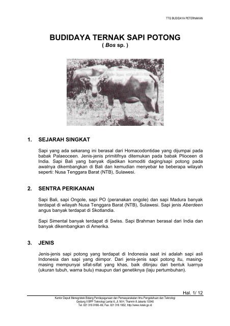 Budidaya Ternak Sapi Potong Warintek