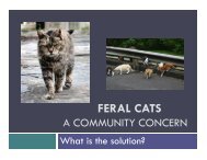 Feral Cats Information Presentation - City of Elk Grove