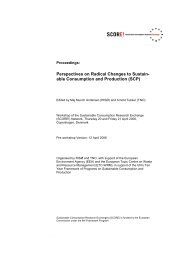 Perspectives on Radical Changes to ... - DTU RisÃ¸ Campus