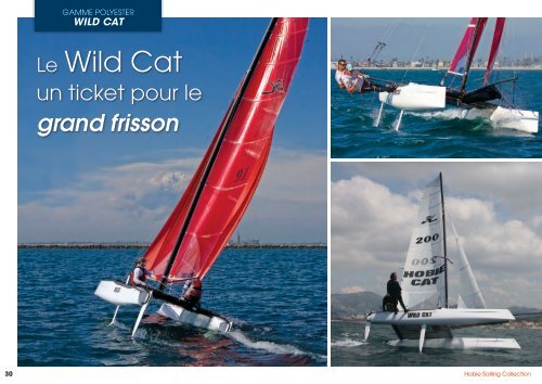 Le Wild Cat - Hobie Cat