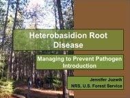 Heterobasidion Root Disease