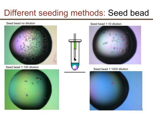 Nucleation and seeding in protein crystallization - Hampton Research