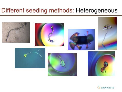 Nucleation and seeding in protein crystallization - Hampton Research