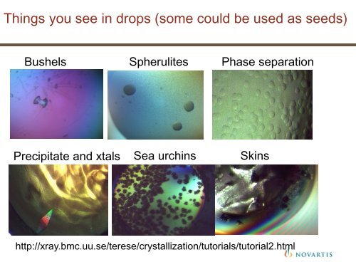 Nucleation and seeding in protein crystallization - Hampton Research