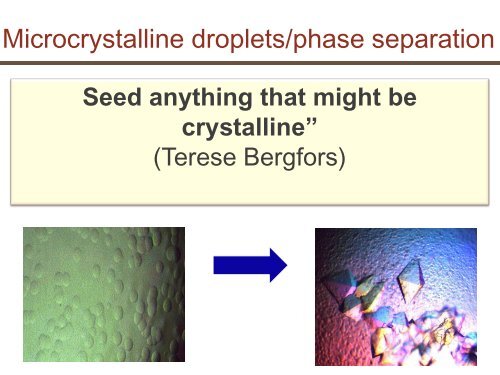 Nucleation and seeding in protein crystallization - Hampton Research