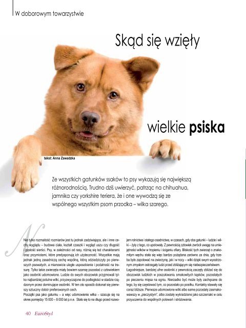 pobierz nowy numer w wersji pdf - EUROSTYL Nowe Spojrzenie