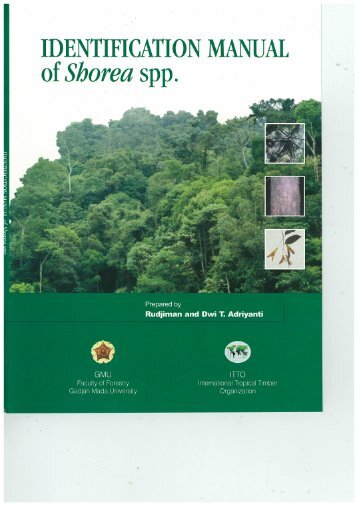 Identification Manual of Shorea spp. - ITTO